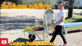 กิจกรรมขายดอกไม้.มีเท่าไรก็ไม่พอ#ครอบครัวไทยในต่างแดน #ทีมฟินแลนด์ #ดอกไม้เมืองหนาว