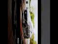 Supra edit supra ratatatat #supra #car #caredits #trending #new #shorts