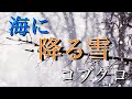 【誰も知らない純愛歌】海に降る雪/コブクロ