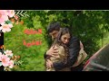 مسلسل أسمي فرح   الحلقة 15 الخامسة عشر