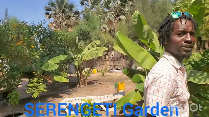 Serengeti Beach Garden &Campsite