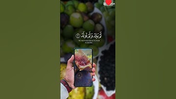 #سورة_الإخلاص #viralvideo #viral #beautiful #راحة_نفسية