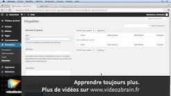 Tutoriel WordPress 4.0 : Utiliser la taxinomie personnalisée | video2brain.com