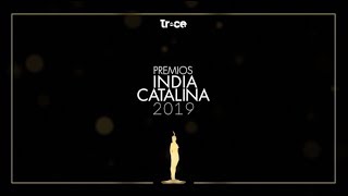 Canal Trece, entre los nominados a los Premios India Catalina 2019