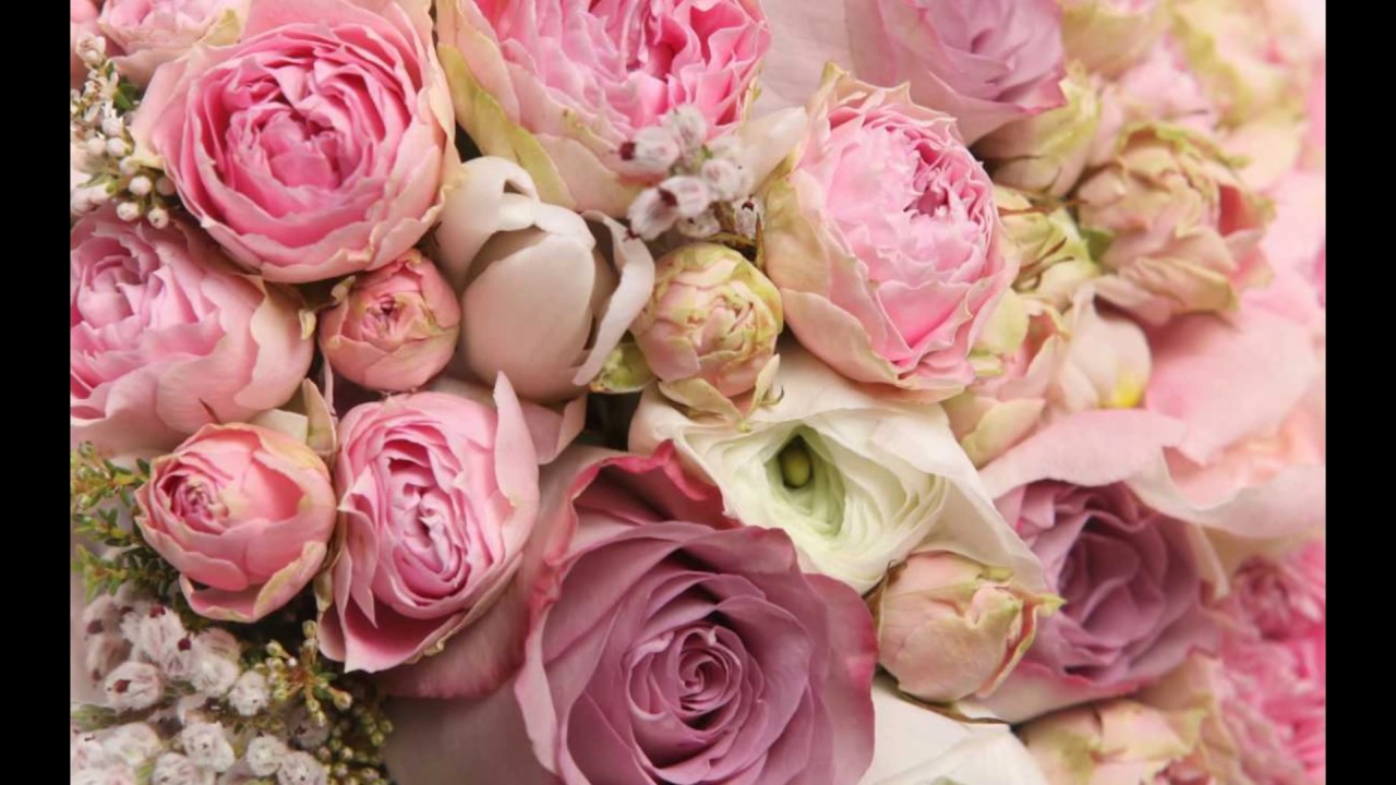 Ngất ngây với những bó hoa hồng đẹp nhất thế giới – MrHoa.com