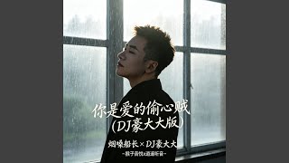 你是爱的偷心贼（1.1x律动版） (DJ豪大大版)