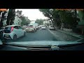 Wild boars cross the road in Haifa | חזירי בר חוצים את הכביש בחיפה