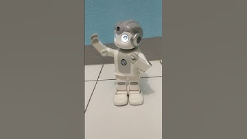 Robot Bernyanyi, Robot Alpha Mini