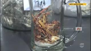 Viral Bakul Jamu NJAMONI di Tulungagung, PELOPOR EDUKASI HERBAL mlebu tv