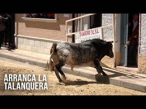 Valdestillas 2026 El Toro Arranca la Talanquera