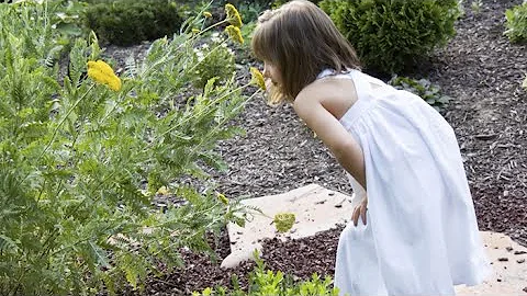 The power of curiosity