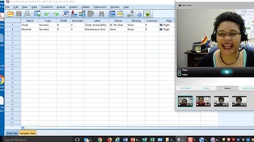 Intro to SPSS Environment Video