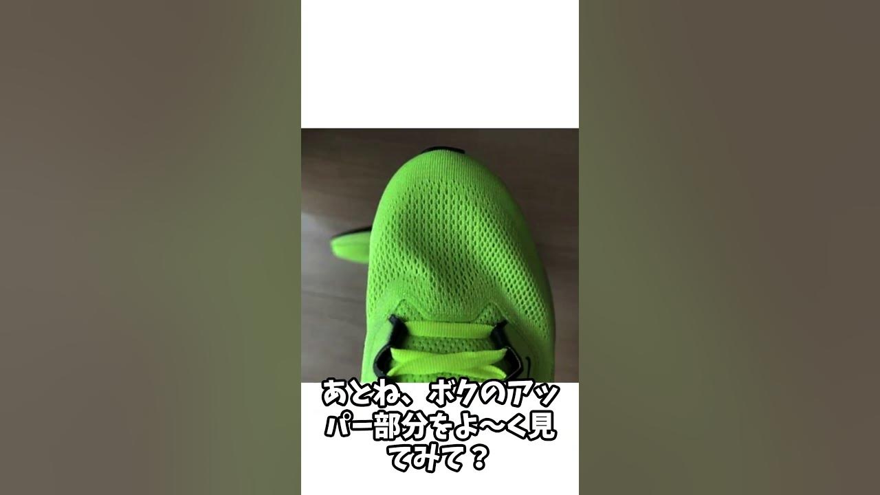 NIKE　ペガサス41の自己紹介 #nike #ランニングシューズ