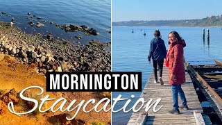 Staycation in Mornington VIC and discovering 5 million-year-old sandstone cliffs #travel