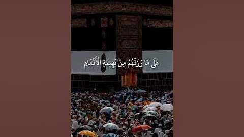 ما تيسر من سورة الحج ❤🍀 #quran