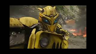 Bumblebee believer