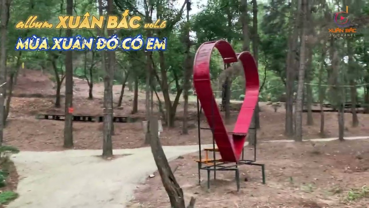 album xuân bắc cover vol 6 #bolero #nhacvang