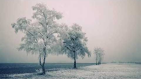 حالات واتس اب قرآن قراءة هادئة وقمة في الروعة بصوت القارئ 🍁إسلام صبحي 🌿ويوم يعض الظالم على يديه 🎙