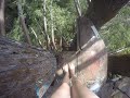 Free Climbing 120ft up to a Secret Treehouse and Cargo Net in Santa Cruz: GoPro Point of View