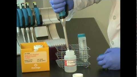 Promega PureYield™ Plasmid Midiprep System standard protocol (I).mpg