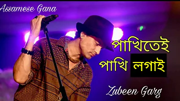 Pakhitei Pakhi Logai Zubeen Garg MP3