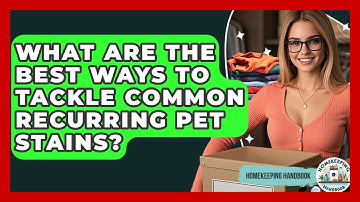 What Are The Best Ways To Tackle Common Recurring Pet Stains? - Homekeeping Handbook