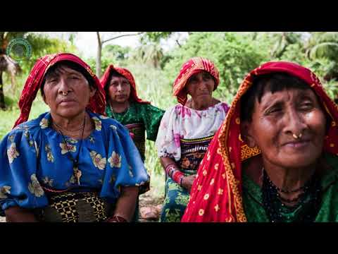 15 Mind Blowing Facts About Panama The Unique Country You Didn T Expect Travel Documentary