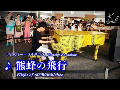 Street Piano 23fchopin Petit Chien Valse Op64 1
