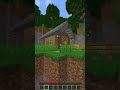 Sabias que si rompes GRAVA en MINECRAFT