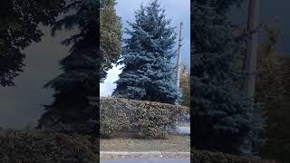 вулицями Полтави #Полтава