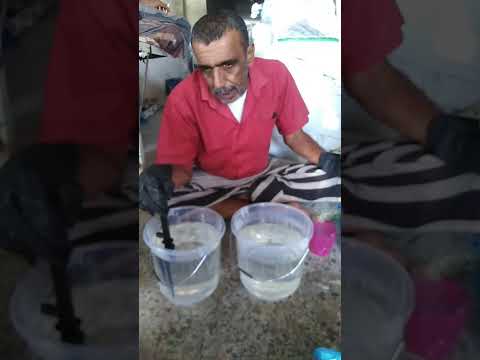 تابع تحضير سترات البوتاسيوم ٢