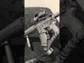 My Delton Echo 316 5.56 build