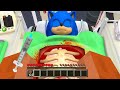 Minecraft : Can We SAVE SONIC FROM DYING???(Ps3/Xbox360/PS4/XboxOne/PE/MCPE)