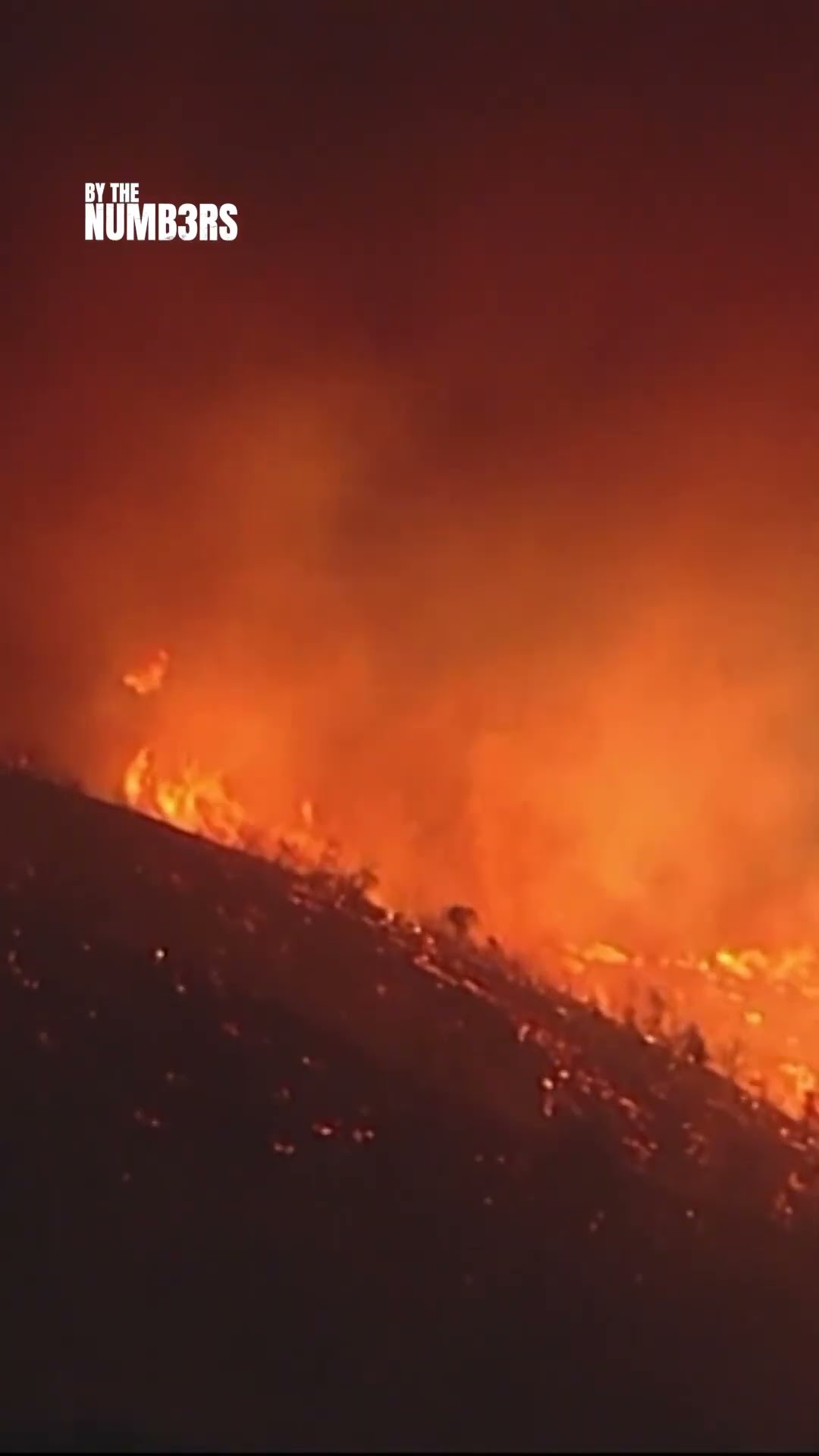 How climate change fuelled the LA wildfires | By the Numbers