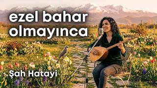 Ezel Bahar Olmayınca, Şah Hatayi, Sazlı Yolcu