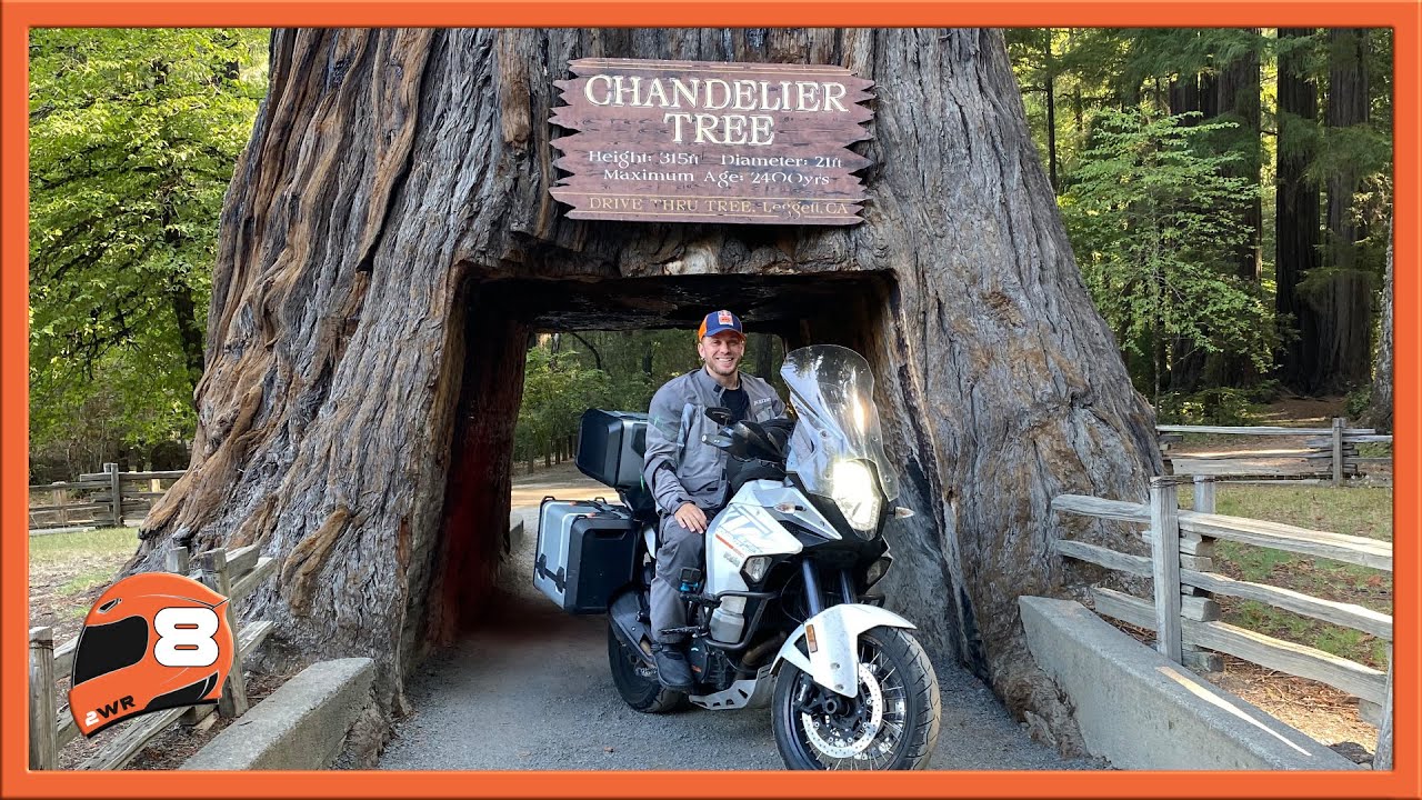 cross country tours 2021