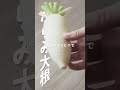 またホンモノに出会ってしまった。トミタ式おろし金from燕三条。