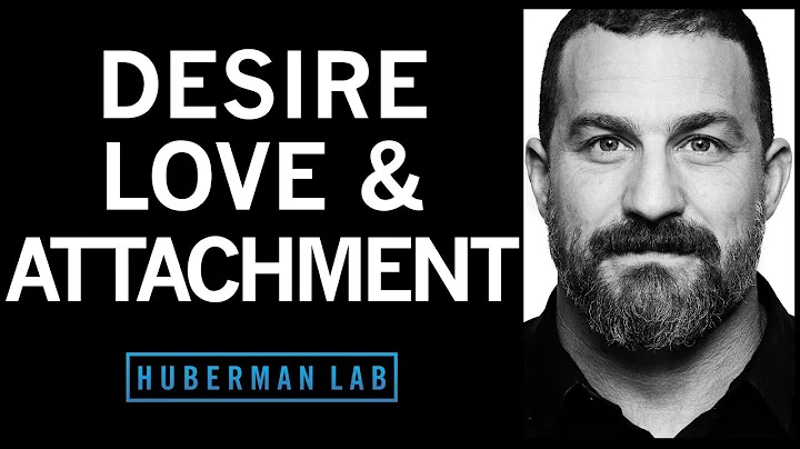 The Science of Love, Desire and Attachment