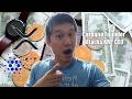 Cardano Founder attacks XRP CEO! Here's how its going down.