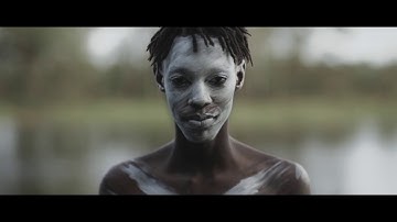 Dirty Paws Media - Showreel 