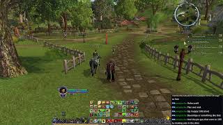 Max Difficulty One Life LotRO | LVL 38 
