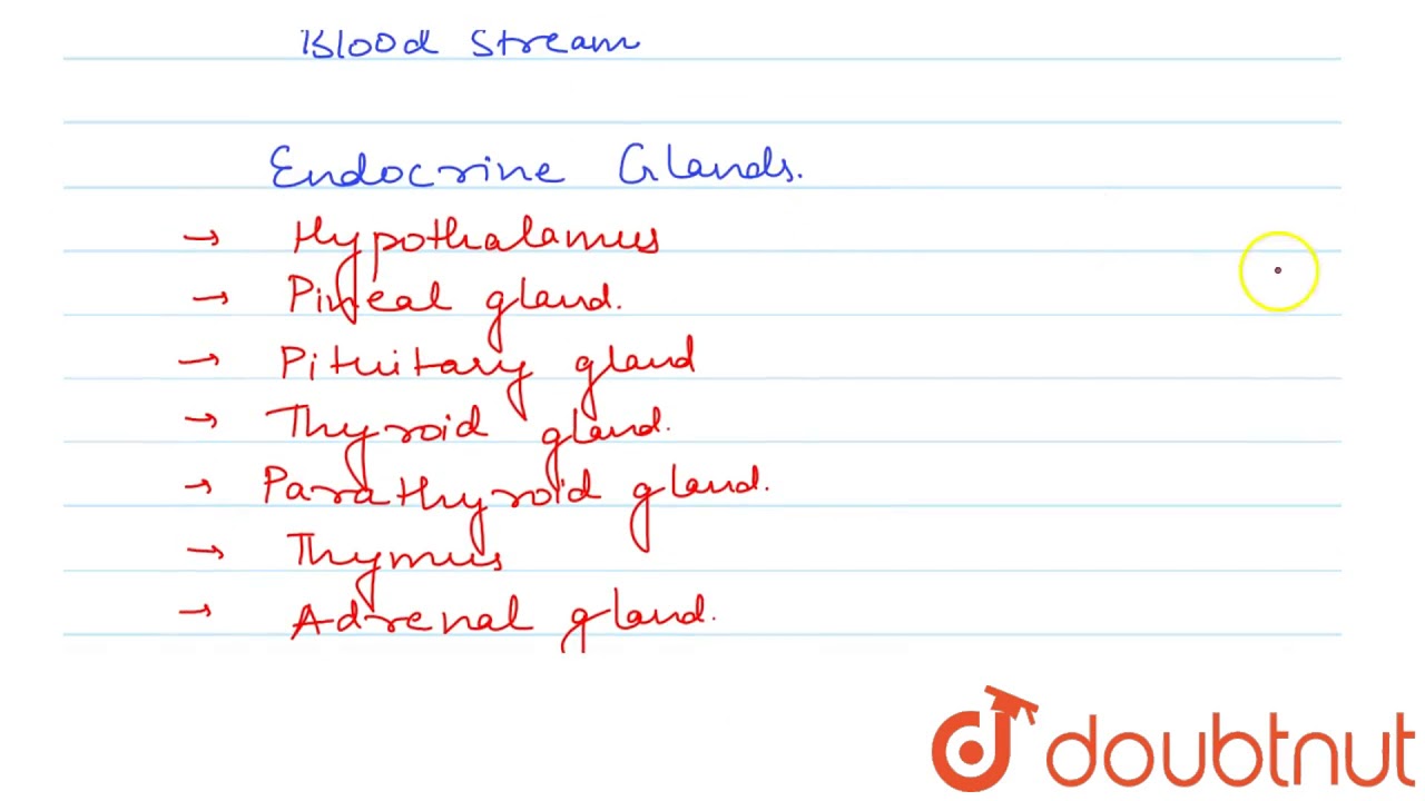 Write The Names Of All The Major Endocrine Glands Present In The Human Body Which Of These Gland Youtube