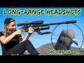 Long-Range Headshots! | SHE CAN SHOOT! | FX Crown MkII GRS | FX Impact M3 | FX Maverick Sniper