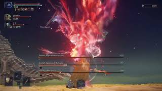 [Elden Ring Nightreign] ED Sentient Pest Animus before fading in 2nd phase