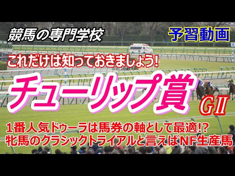 【チューリップ賞2023】予習動画 ドゥーラとノーザンF生産馬達