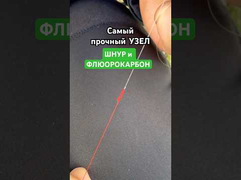 Сохраняй чтобы не забыть #братьяБилан #angeln #fishing #спінінг #рыбалка