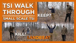 Small Scale Timber Stand Improvement! | TSI Walk Through