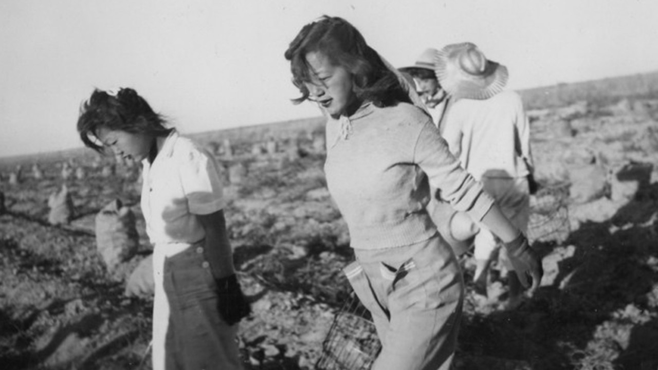 Japanese POW Women Saw American Women Soldiers — And Their Worldview Collapsed