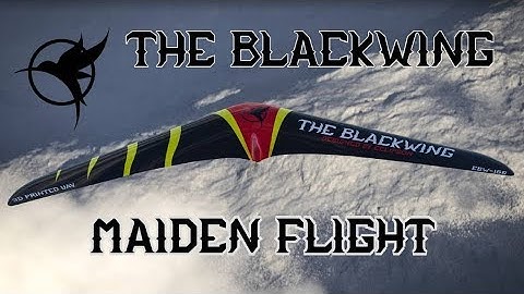 Maiden flight - 3d printed flying wing -The blackwing