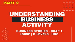 Understanding Business Activity - IGCSE Business Studies Ch 1 (Part 2)